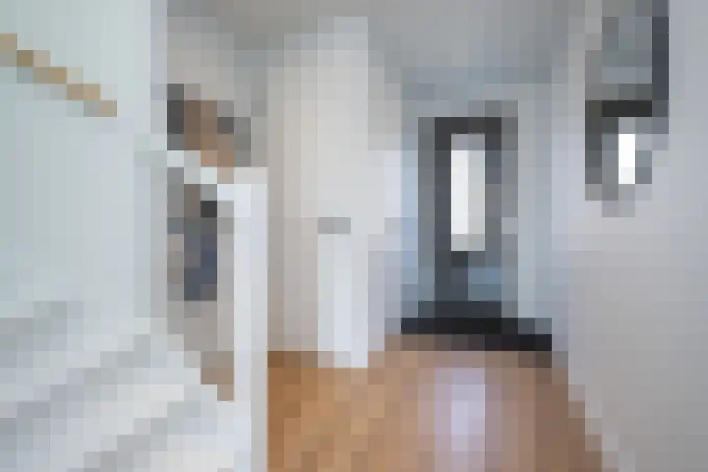 Het Gudseke 1 Stad aan 't Haringvliet thumbnail 5