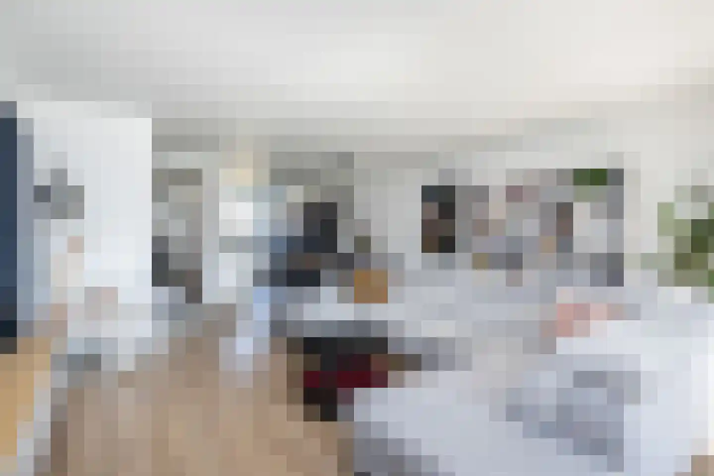 Het Gudseke 1 Stad aan 't Haringvliet thumbnail 6