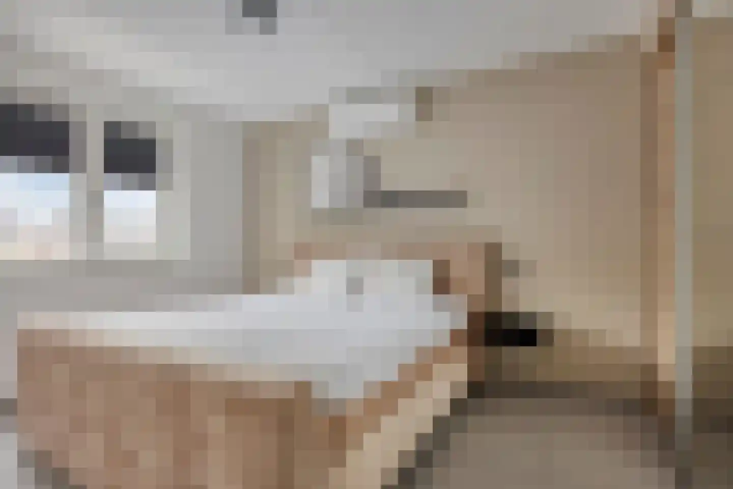 Het Gudseke 14 Stad aan 't Haringvliet thumbnail 18