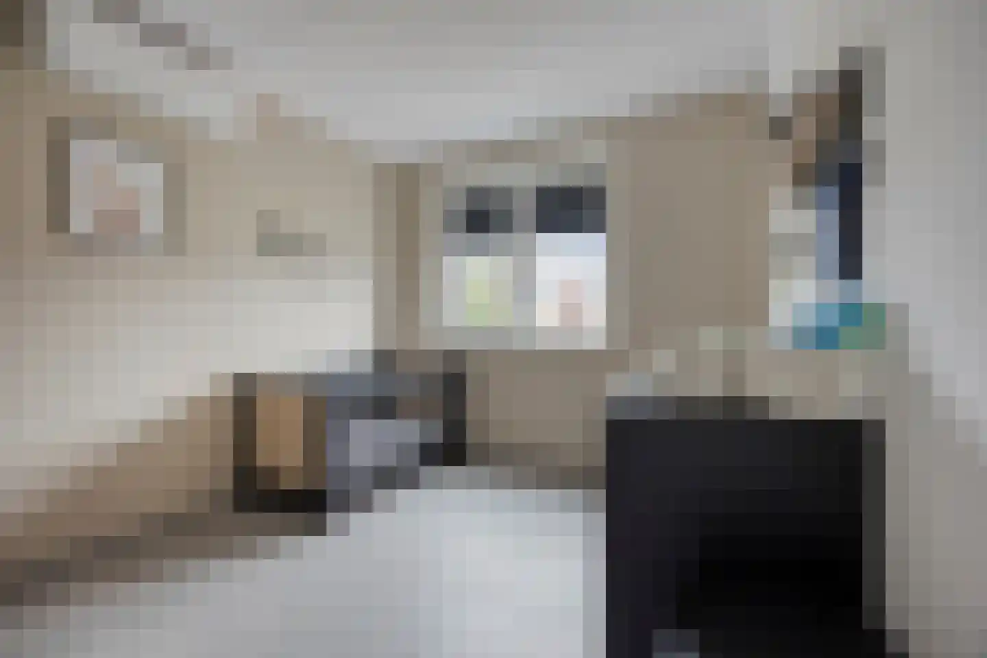 Het Gudseke 14 Stad aan 't Haringvliet thumbnail 23