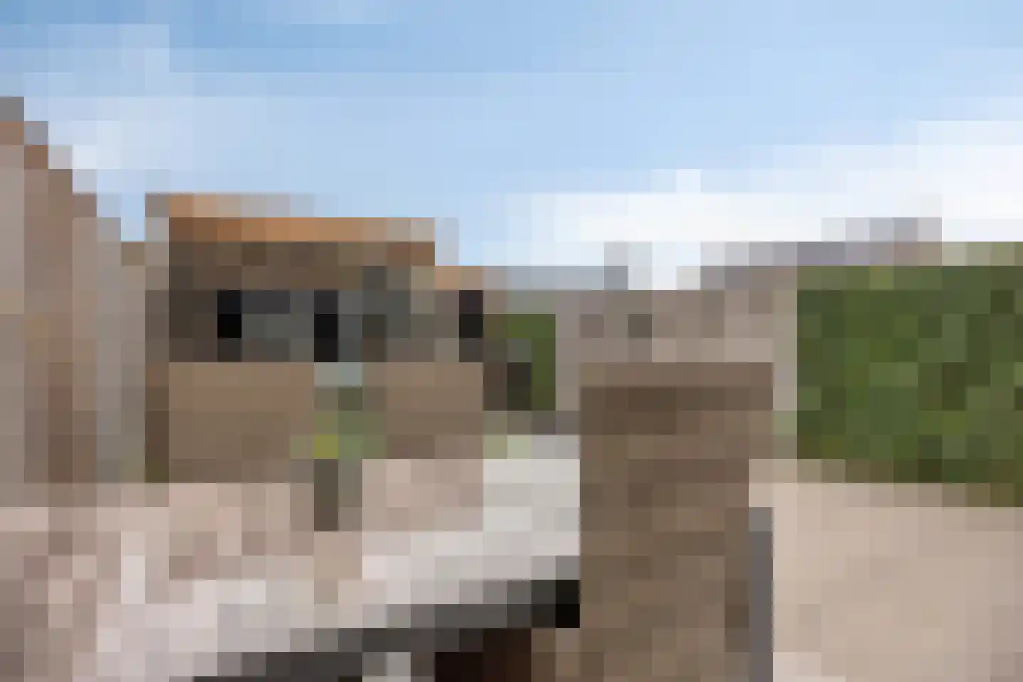 Het Gudseke 14 Stad aan 't Haringvliet thumbnail 28