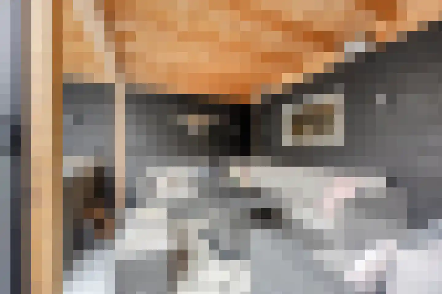 Het Gudseke 14 Stad aan 't Haringvliet thumbnail 33