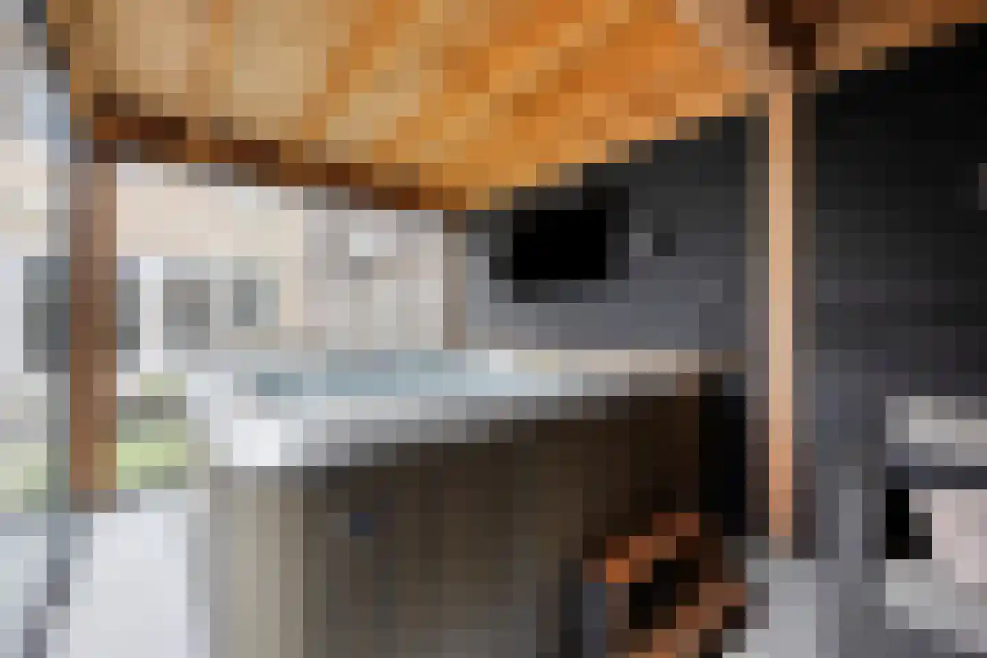 Het Gudseke 14 Stad aan 't Haringvliet thumbnail 34