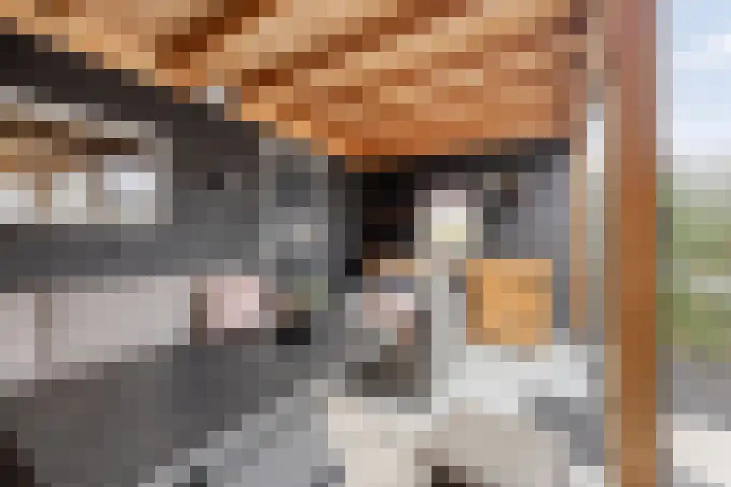 Het Gudseke 14 Stad aan 't Haringvliet thumbnail 35