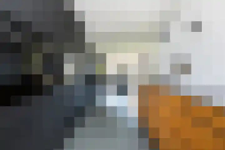 Het Gudseke 18 Stad aan 't Haringvliet thumbnail 12