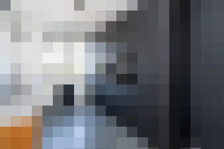 Het Gudseke 18 Stad aan 't Haringvliet thumbnail 13
