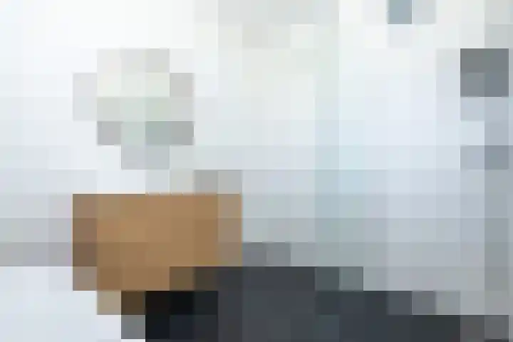 Het Gudseke 18 Stad aan 't Haringvliet thumbnail 17