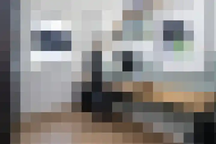 Het Gudseke 18 Stad aan 't Haringvliet thumbnail 22
