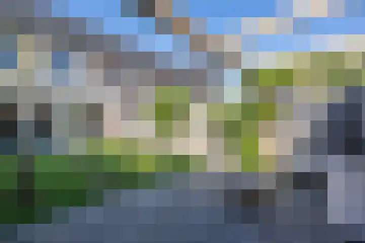Het Gudseke 18 Stad aan 't Haringvliet thumbnail 27