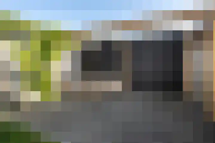 Het Gudseke 18 Stad aan 't Haringvliet thumbnail 28
