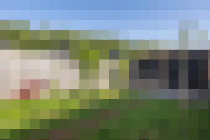 Het Gudseke 18 Stad aan 't Haringvliet thumbnail 29