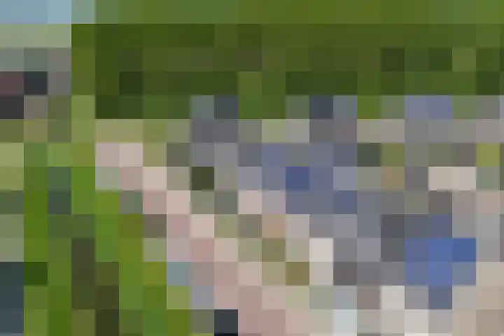 Het Gudseke 18 Stad aan 't Haringvliet thumbnail 30