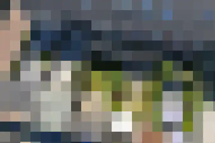 Het Gudseke 18 Stad aan 't Haringvliet thumbnail 31