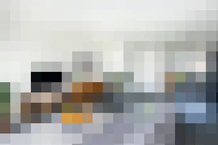Het Gudseke 18 Stad aan 't Haringvliet thumbnail 9