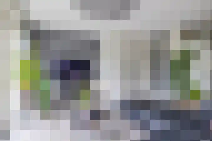 Het Gudseke 22 Stad aan 't Haringvliet thumbnail 11