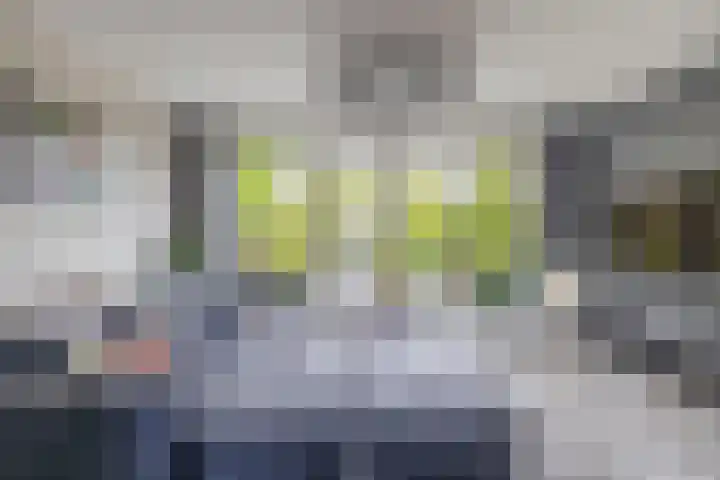 Het Gudseke 22 Stad aan 't Haringvliet thumbnail 13