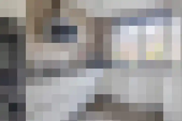 Het Gudseke 22 Stad aan 't Haringvliet thumbnail 16