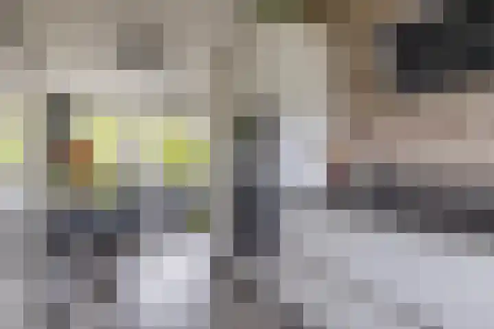 Het Gudseke 22 Stad aan 't Haringvliet thumbnail 17