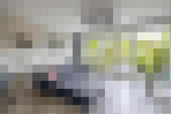 Het Gudseke 22 Stad aan 't Haringvliet foto 2