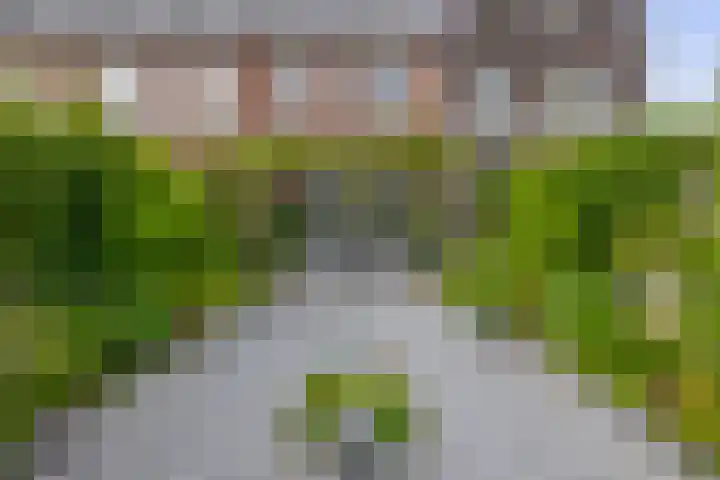 Het Gudseke 22 Stad aan 't Haringvliet thumbnail 28