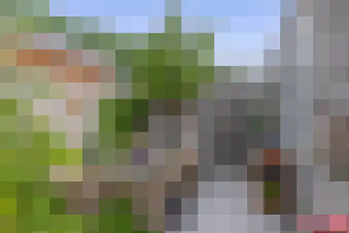 Het Gudseke 22 Stad aan 't Haringvliet thumbnail 29