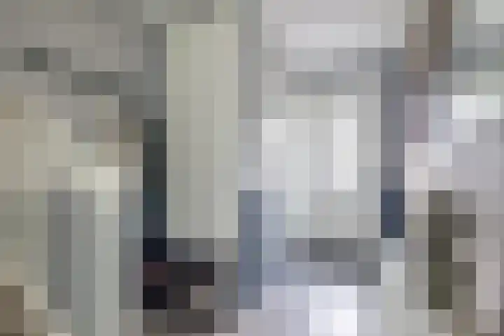 Het Gudseke 22 Stad aan 't Haringvliet thumbnail 6