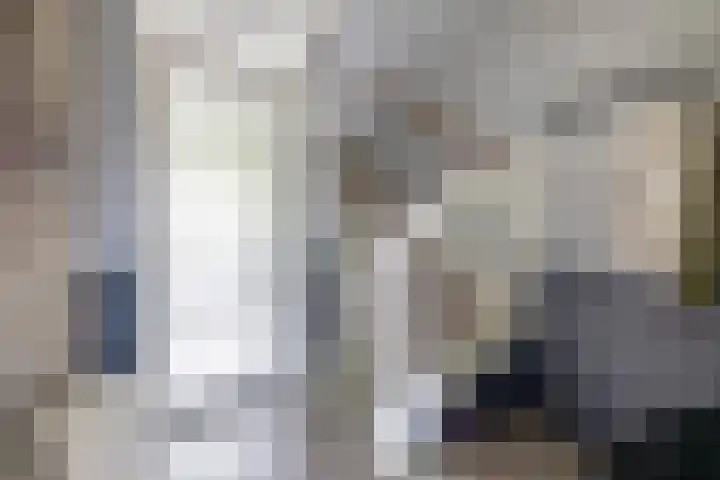 Het Gudseke 22 Stad aan 't Haringvliet thumbnail 8