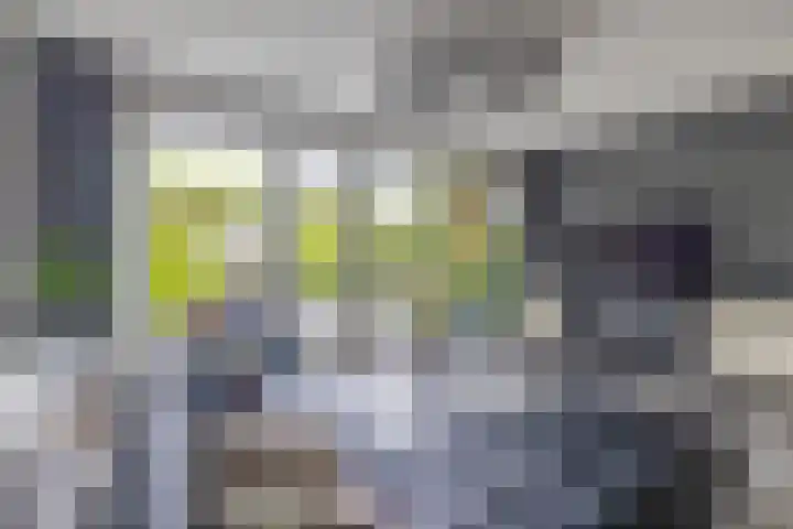 Het Gudseke 22 Stad aan 't Haringvliet thumbnail 9
