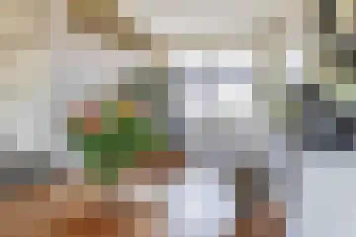 Het Gudseke 4 Stad aan 't Haringvliet thumbnail 11