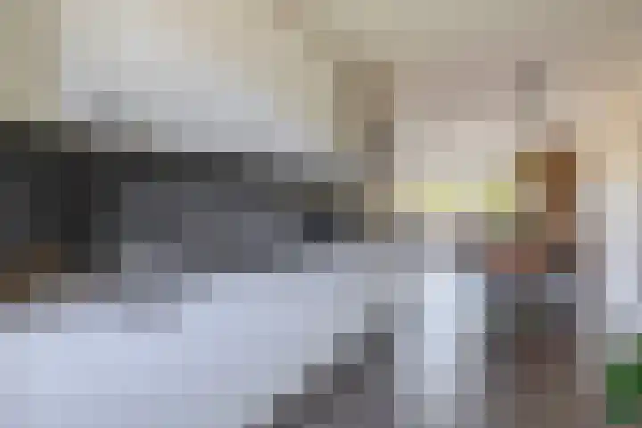 Het Gudseke 4 Stad aan 't Haringvliet thumbnail 12