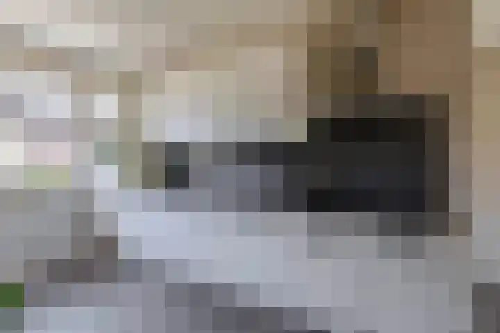 Het Gudseke 4 Stad aan 't Haringvliet thumbnail 13