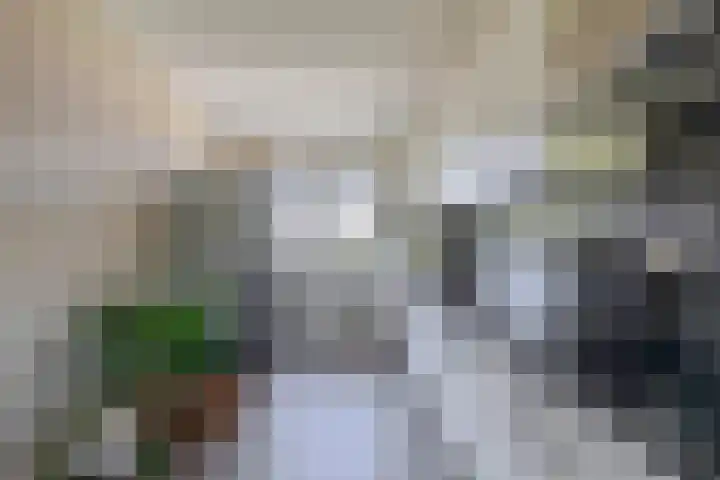 Het Gudseke 4 Stad aan 't Haringvliet thumbnail 14