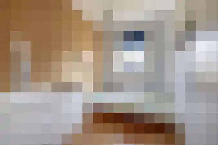 Het Gudseke 4 Stad aan 't Haringvliet thumbnail 22