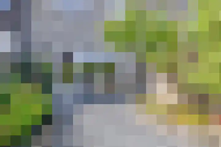 Het Gudseke 4 Stad aan 't Haringvliet thumbnail 29
