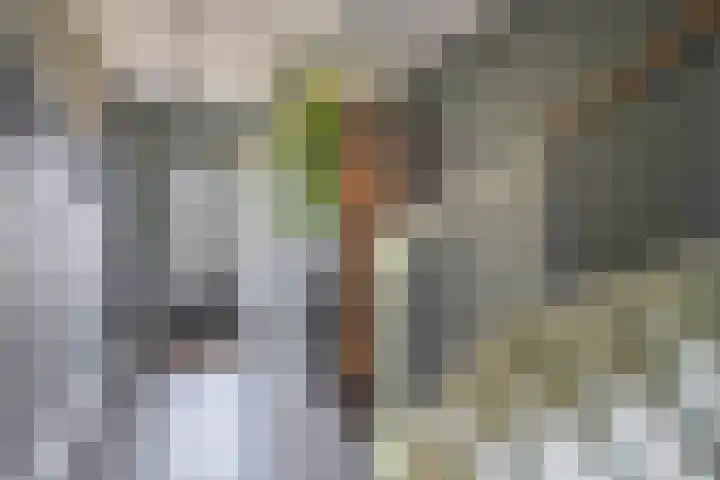 Het Gudseke 4 Stad aan 't Haringvliet thumbnail 6