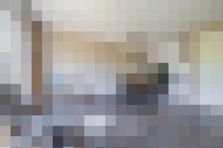 Het Gudseke 4 Stad aan 't Haringvliet thumbnail 9