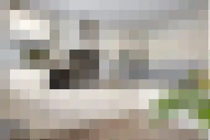 het Gulik 5 Vorden thumbnail 10