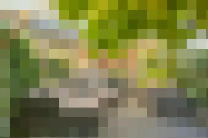 het Gulik 5 Vorden foto 3