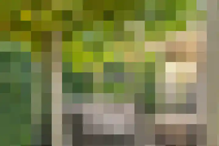 het Gulik 5 Vorden thumbnail 31
