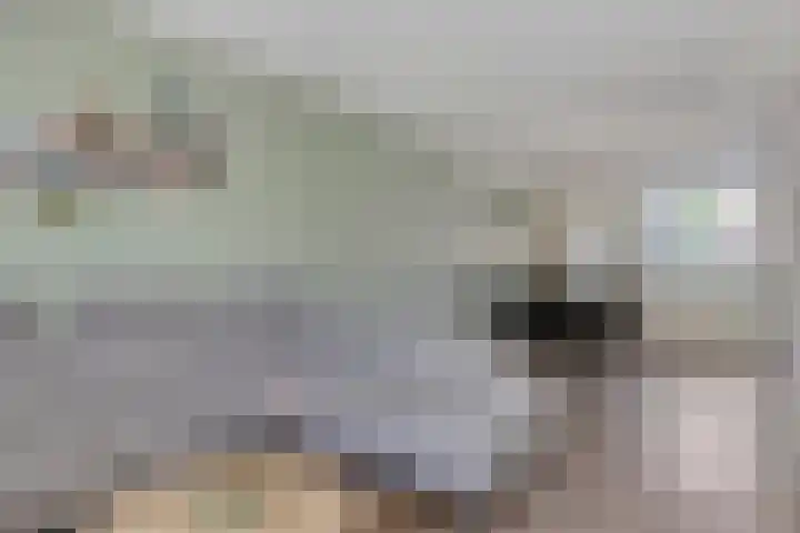 het Gulik 5 Vorden thumbnail 6