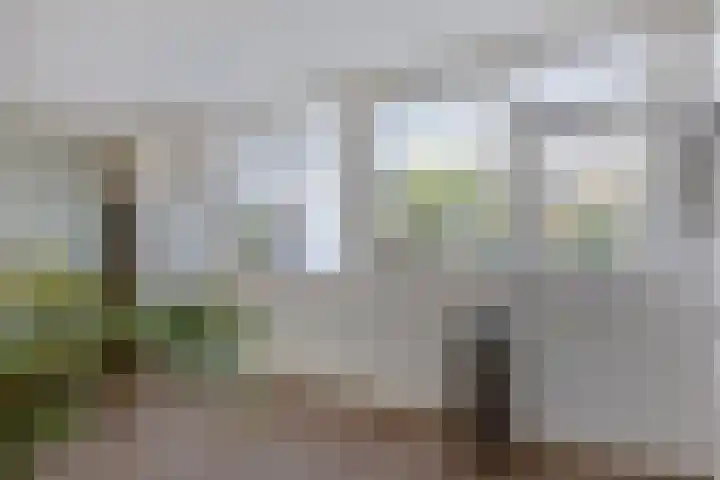 het Gulik 5 Vorden thumbnail 9