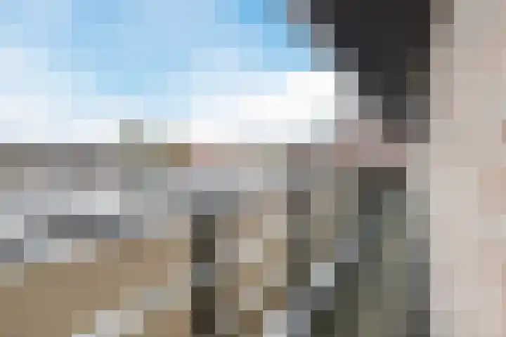 Het Haagje 113 Hoogeveen thumbnail 10