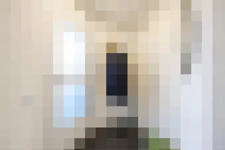 Het Haagje 113 Hoogeveen thumbnail 11