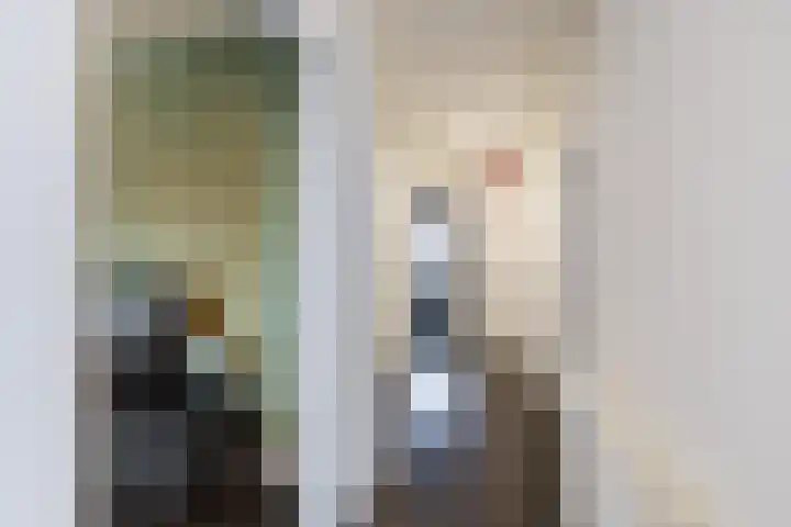Het Haagje 113 Hoogeveen thumbnail 12