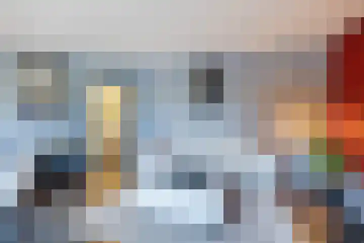 Het Haagje 113 Hoogeveen thumbnail 16