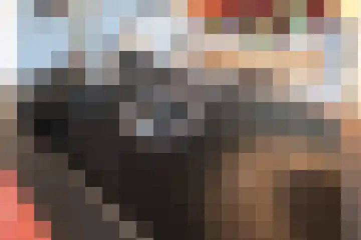 Het Haagje 113 Hoogeveen thumbnail 19