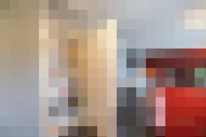 Het Haagje 113 Hoogeveen thumbnail 20