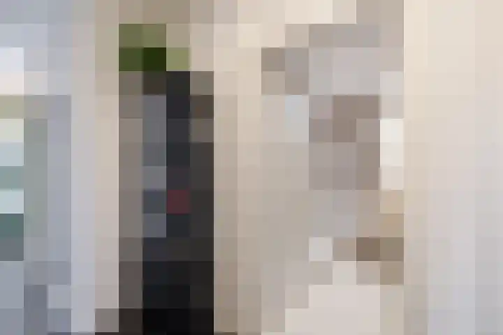 Het Haagje 113 Hoogeveen thumbnail 22