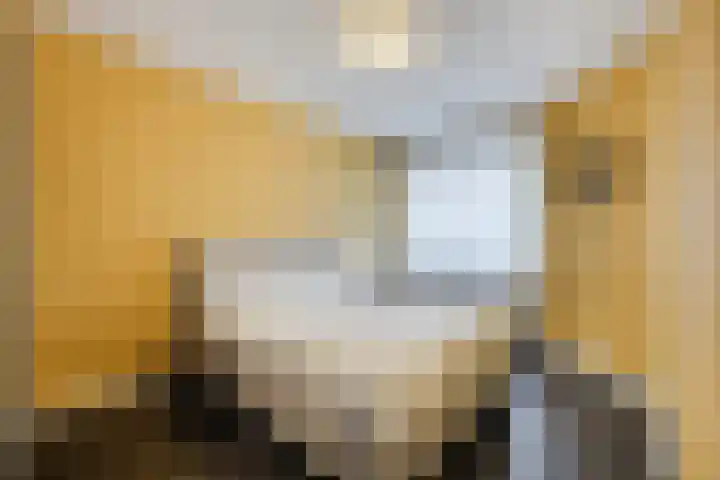 Het Haagje 113 Hoogeveen thumbnail 26