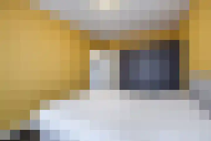 Het Haagje 113 Hoogeveen thumbnail 27